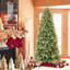 Arbre de Noël 5 pi avec 756 pointes et 250 lumières à DEL blanc chaud - branches mixtes en PVC + PE, structure à charnières pour une installation facile, support en métal pour un soutien solide, décoration des Fêtes luxueuse-118032860