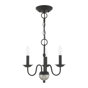 Black w/ Brushed Nickel Accent