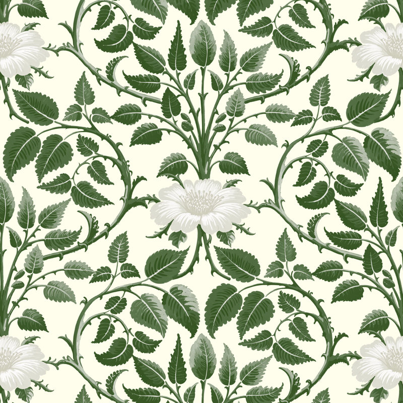 Papier peint botanique Garden Vine