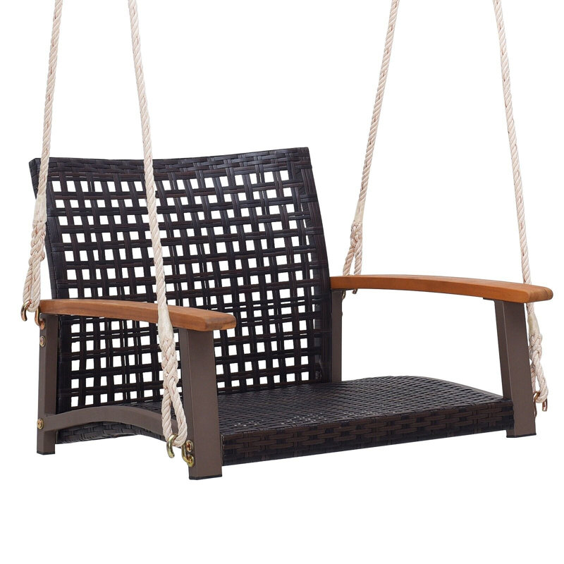 Aslee 1 Person Hanging Porch Swing