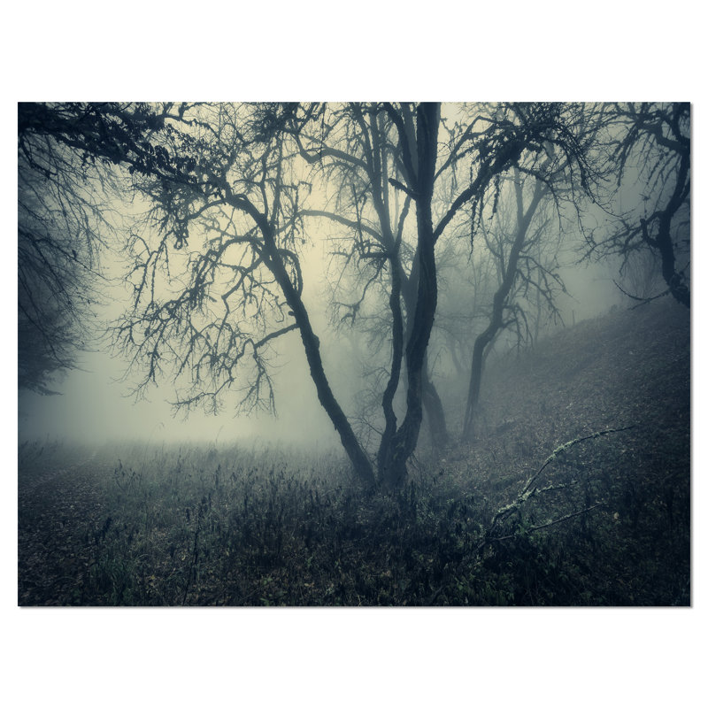 Forêt avec brouillard vert au matin - reproduction de photo sur toile tendue, H 20 po x l 20 po x P 1 po