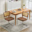 Ensemble de chaises de salle à manger Mid Century-2140143539