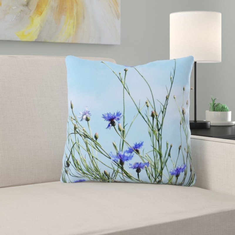 Coussin, bleuets,