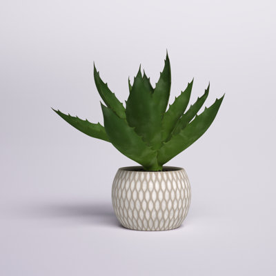 Plante grasse artificielle 7 "en pot