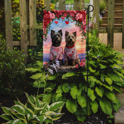 Double Sided 15.5'' H x 11.25'' W Polyester Valentine's Day Garden Flag