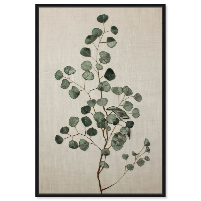 «Eucalyptus Emb broderie II», reproduction d'art botanique par Art Remedy, Cadre noir, H 25 po x l 17 po
