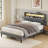 Neavins Bed Frame with Storage Headboard & LED Light, Upholstered Bed Frame with Charging Station-429366112