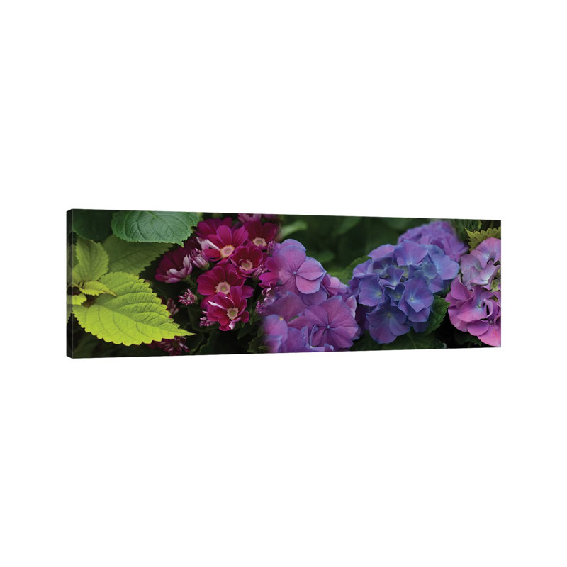 Close-Up Of Daisy And Hydrangeas Flowers - Wrapped Canvas Panoramic Print, 30.48 cm H x 91.44 cm W x 1.91 cm D