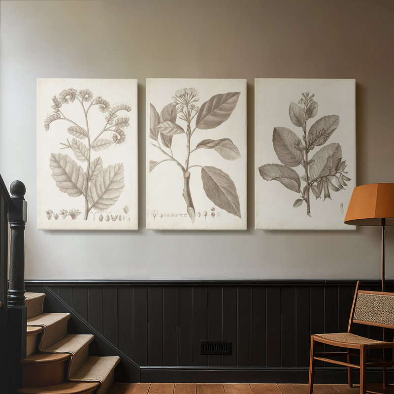 Antique sépia botanicals iv - toile tendue sur mesure - 3 pièces, H 27 po x l 54 po