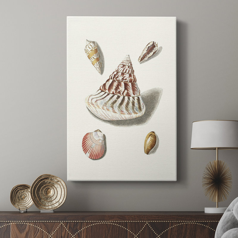 Pastel Knorr Shells VII - Cavas enveloppés de galerie, H 36 po x l 24 po