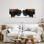 Bison Clash sur impression sur toile-1875061304