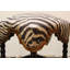 Tabouret de comptoir 27 po Mithusha