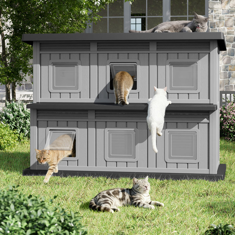 Maison pour chat d'extérieur, abri pour chat imperméable de 2 étages, Noir/gris