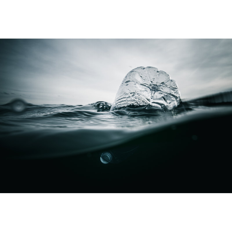 Plastique dans l'océan par Jonathanfilskov-Photographie, H 32 po x l 48 po