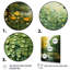 «Green Green Trees», art mural sur toile Cottage-1677308634-1677308641