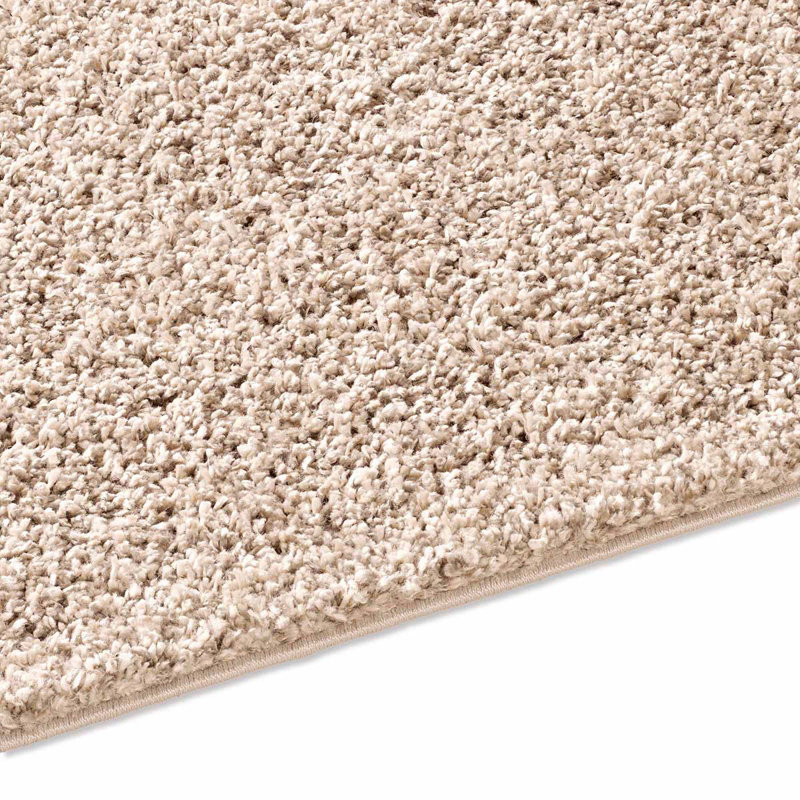 Alrai Solid Colour Shag Area Rug, Rectangle 200 x 250cm