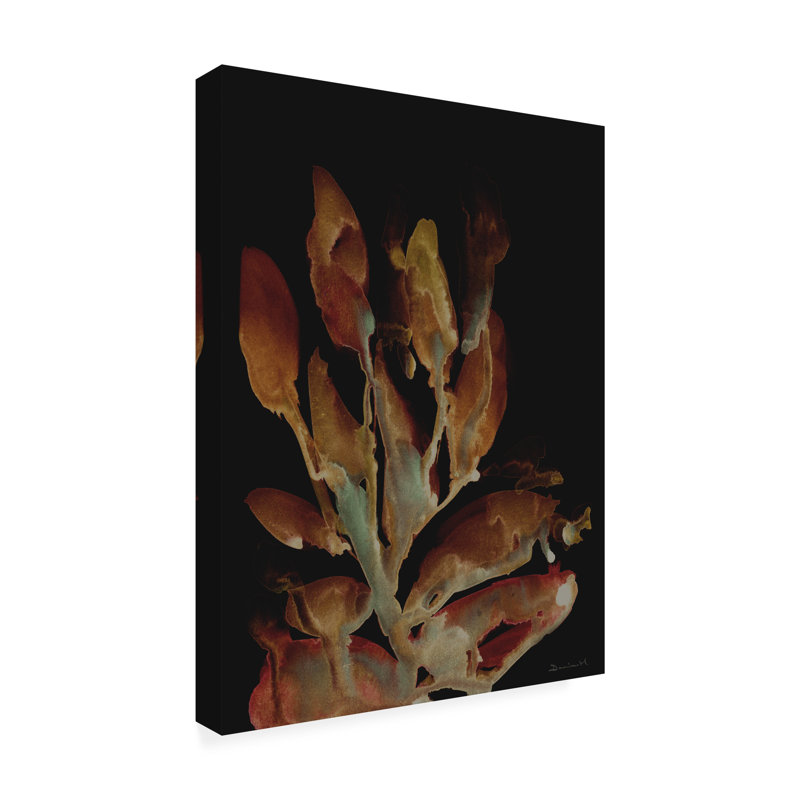 Bolog Dan Hobday Night Plant Canvas Art, 47" H x 35" W