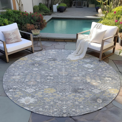 Chayden Indoor/Outdoor Chantille ACN1009 Area Rug