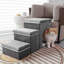 Échelle de rangement pliante pour animaux 3 étapes pour chiens et chats