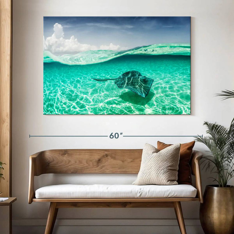 Brama Manta Ray sous l'eau, H 34 po x l 51 po