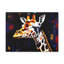 No Frame Print on Canvas-480606012