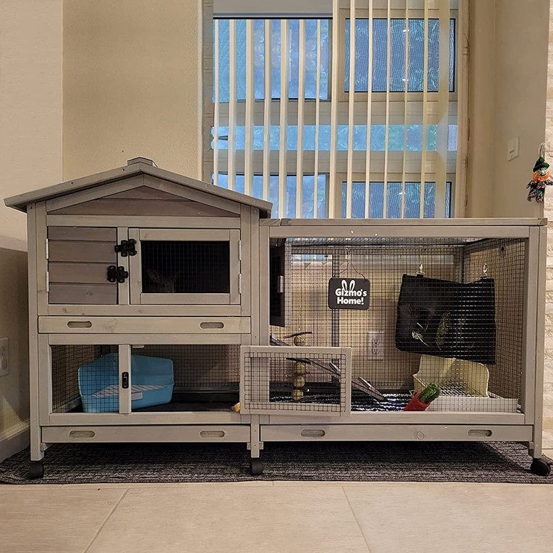 Weather Resistant Hutch with Ramp, Grey