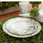 Tivoli Garden 16-Piece Lightweight Chip-Resistant Bone China Dinnerware Set, Service for 4