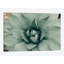 «Mint Succulent I», reproduction de photo sur toile-74402990-74402991-74402993