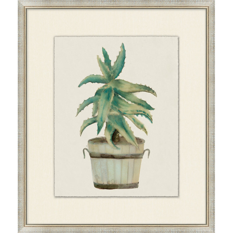 Aloe Pot 7 Print