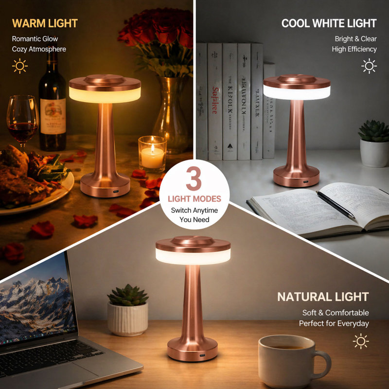 Caidenlee Portable LED Desk Lamp 3-Levels Brightness Touch Sensor Control Night Light Touch Sensor Control, Rose Gold
