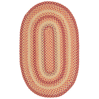 Braided Flat Weave Cotton/Others Geometric Rug in Yellow/Red