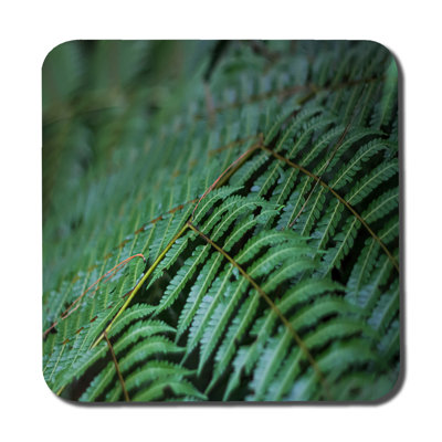 Square 6 Piece Coaster Set