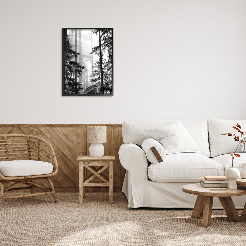 «Forest Light» qui brille à travers de grands arbres, photographie de paysage giclée encadrée noire XXL par Gail Peck