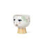 Eva Ceramic Planter