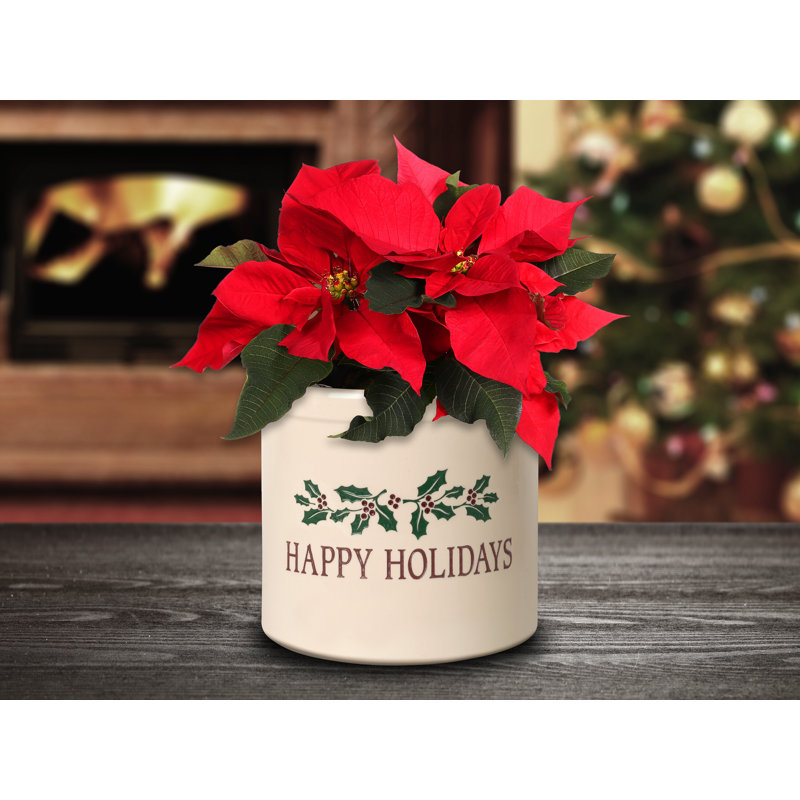 Happy Holidays Holly Ceramic Pot Planter, Yes