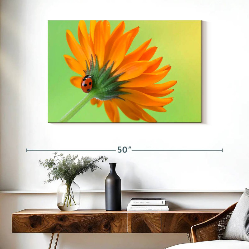 Harnek Ladybug Climbing Flower