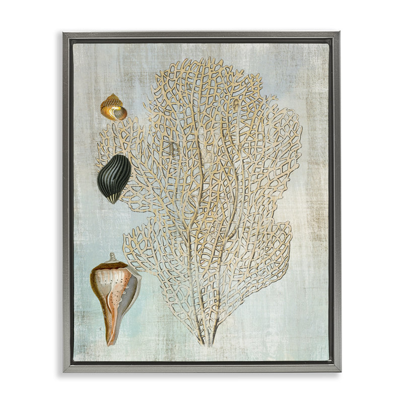 Cadre flottant détaillé corail et coquillages, design par Susan Arnot, 21" H x 17" W, Cadre flottant gris lustré