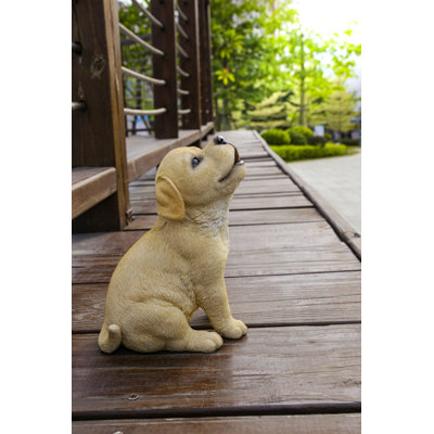 Howling Yellow Labrador puppy