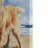 Golden Retriever Canvas Wall Art