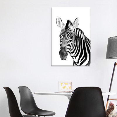 Safari Zebra by Danita Delimont - Wrapped Canvas Gallery-Wrapped Canvas Giclée