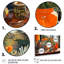Fleurs orange, vase orange, ensemble de salon mural art floral-75636679-75636678