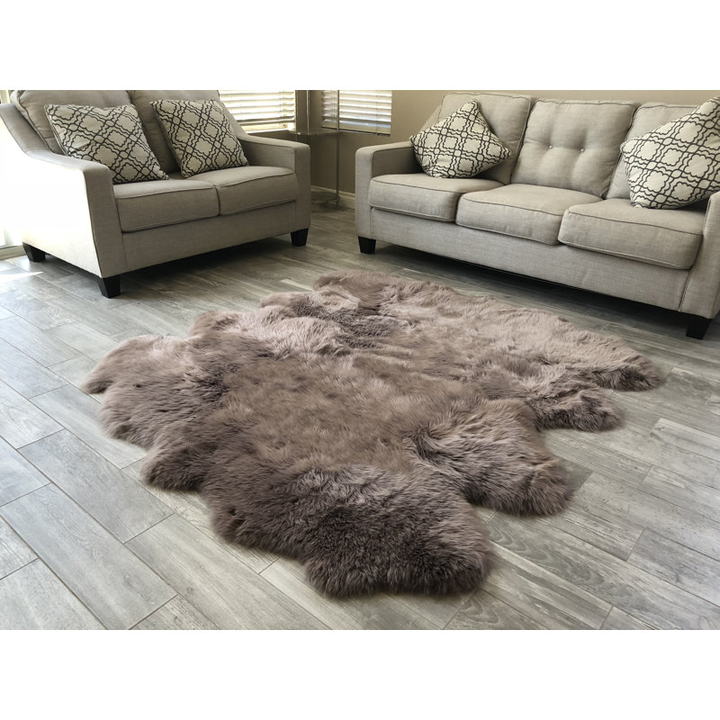 Tapis brun Whiddon, Nouveauté 6 pi x 8 pi
