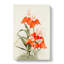 Magnolia Flowers Illustration Tab. 15 by Frederick Sander - Wrapped Canvas Print-55308816