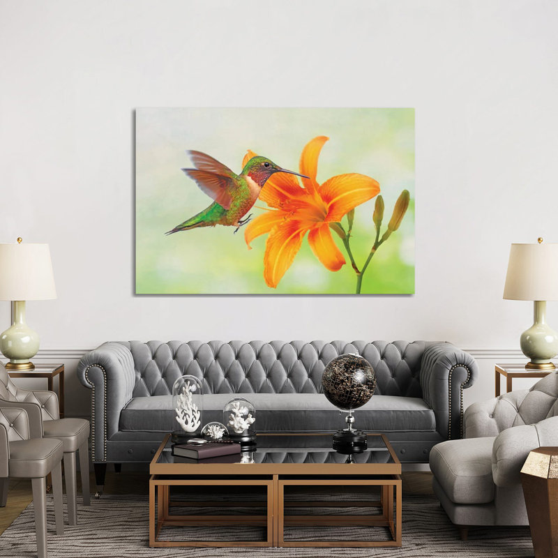 Hummingbird And Orange Day Lily by Laura D Young - Gallery-Wrapped Canvas Giclée on Canvas, Wrapped Canvas