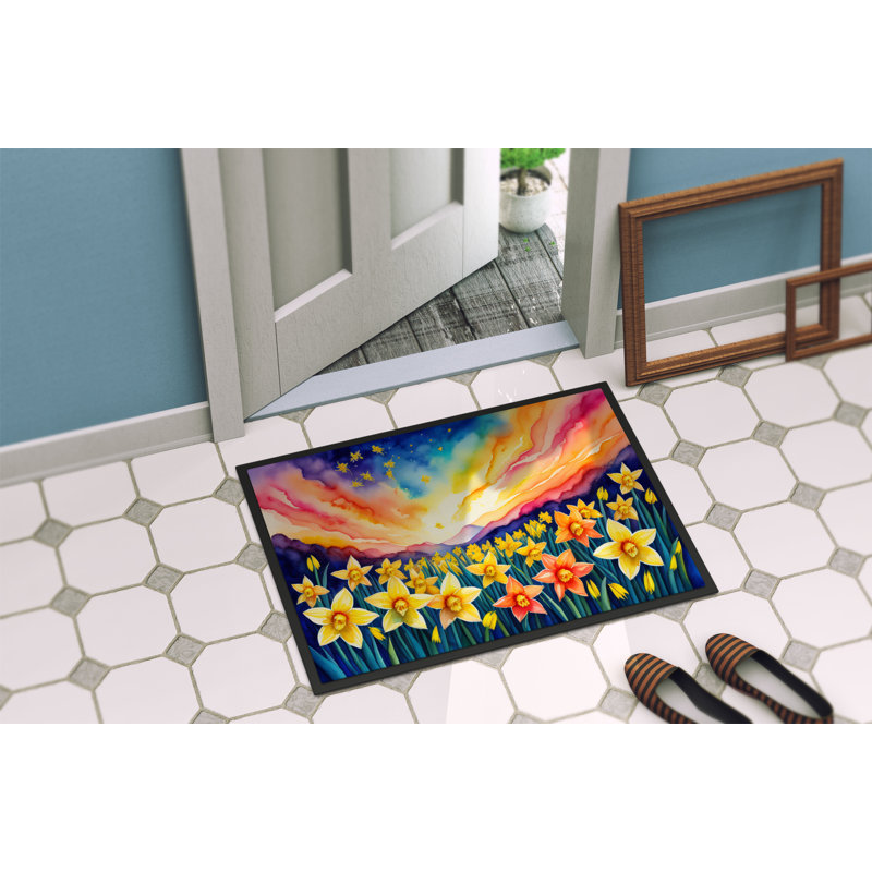 Patao Non-Slip Doormat, 24" W x 36" L