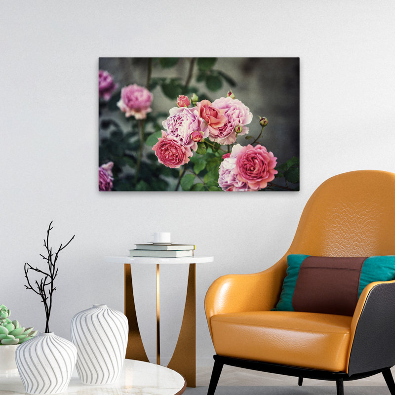 Plantes, fleurs, roses d'Ecosse III, art mural, H 16 po x l 24 po
