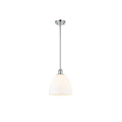 Alonta 1 - Light Single Pendant