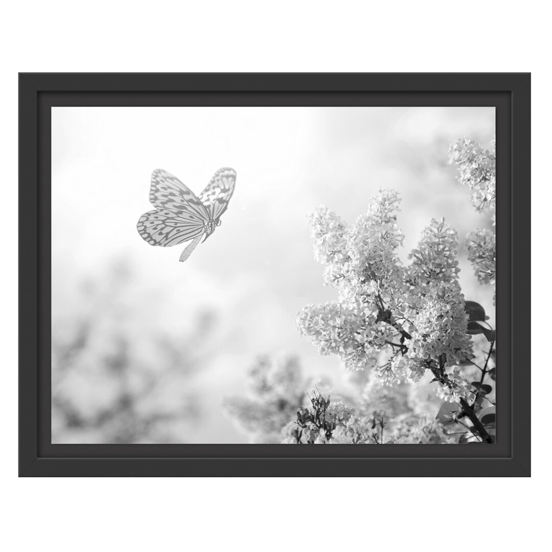 Gerahmtes Wandbild Schmetterling Kirschblüten