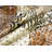 P-leopard Quilt Polyester Abstract Quilt-23781289
