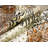 p-leopard quilt Polyester Abstract Quilt Set-23781289